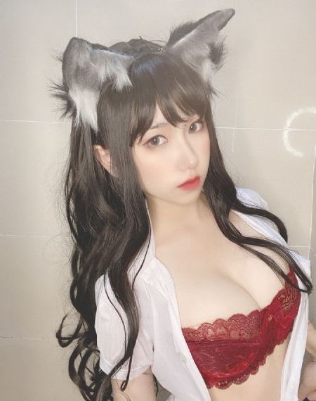 木上益治_4K动漫免费观看